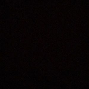 Meet your Posher, Perla